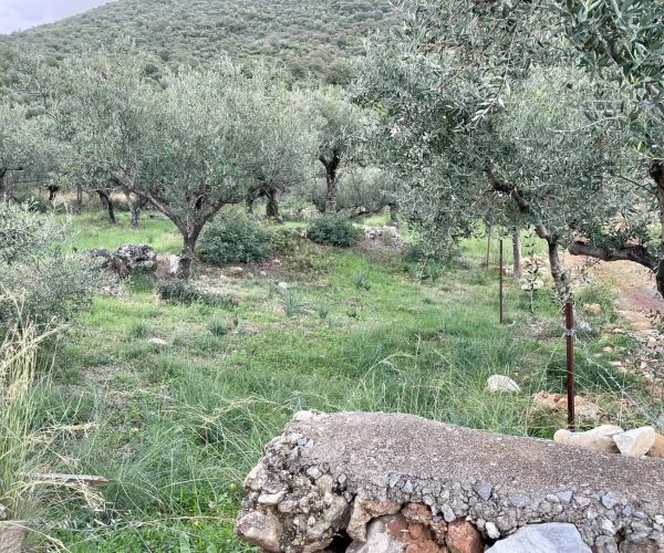 Image No.8-Plot for sale