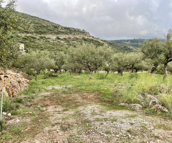 Image No.9-Plot for sale