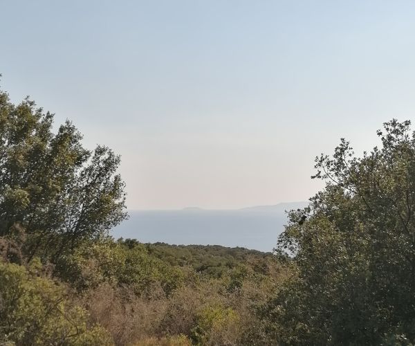 Image No.19-Plot for sale