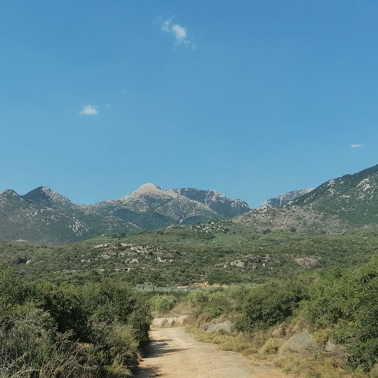 Image No.2-Plot for sale