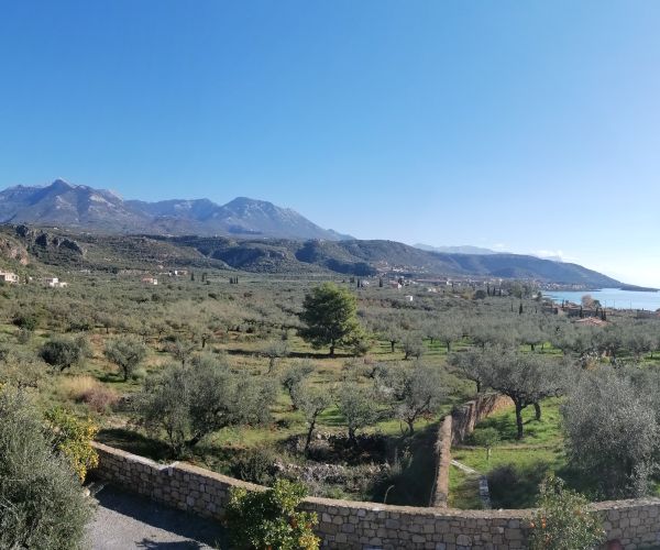 Image No.19-Maison de 5 chambres à vendre à Kardamyli