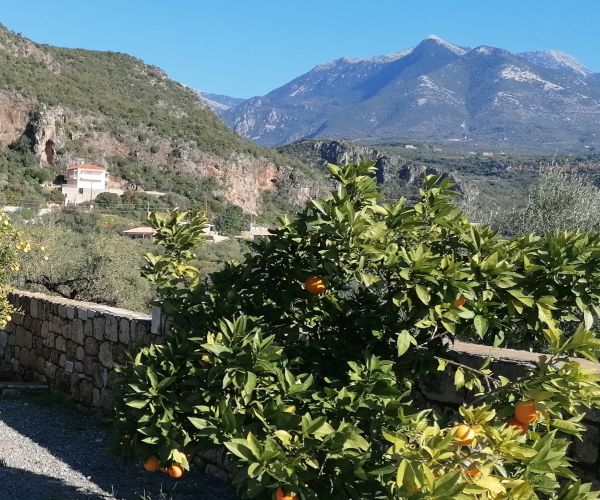 Image No.45-Maison de 5 chambres à vendre à Kardamyli