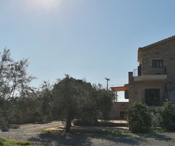 Image No.49-Maison de 5 chambres à vendre à Kardamyli