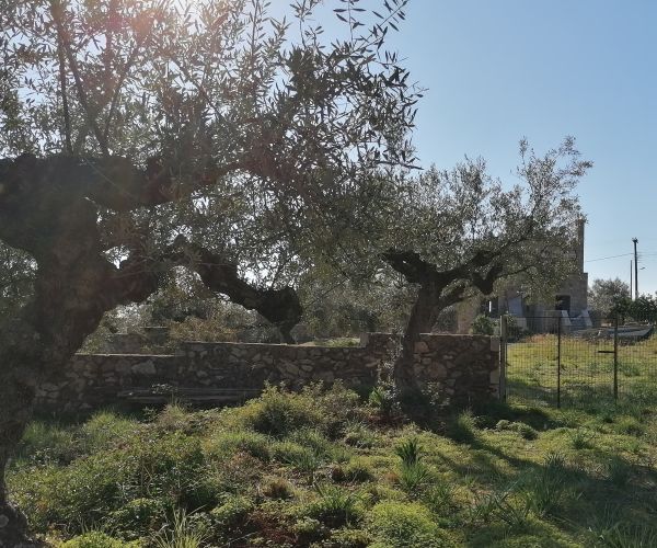 Image No.51-Maison de 5 chambres à vendre à Kardamyli