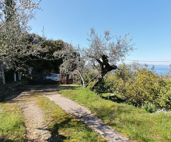 Image No.18-Maison de 3 chambres à vendre à Kardamyli