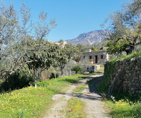 Image No.19-Maison de 3 chambres à vendre à Kardamyli