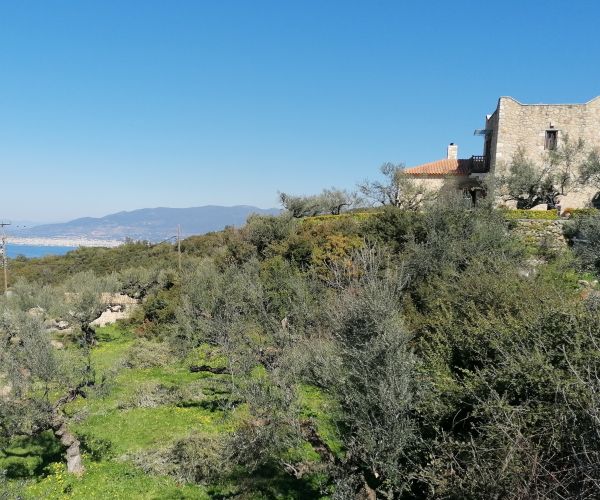 Image No.20-Maison de 3 chambres à vendre à Kardamyli