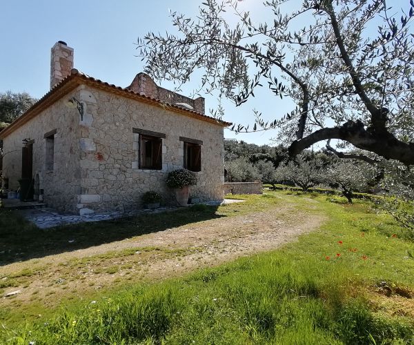Image No.21-Maison de 3 chambres à vendre à Kardamyli