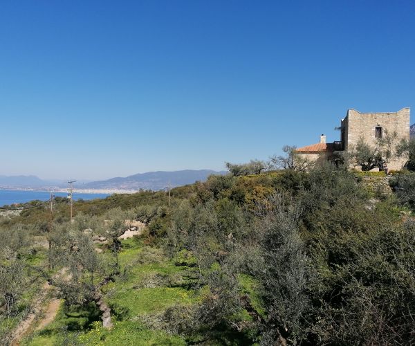 Image No.23-Maison de 3 chambres à vendre à Kardamyli
