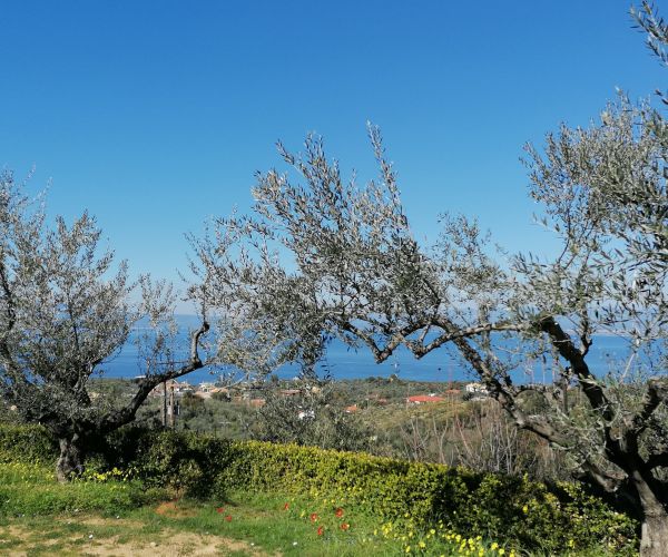 Image No.52-Maison de 3 chambres à vendre à Kardamyli