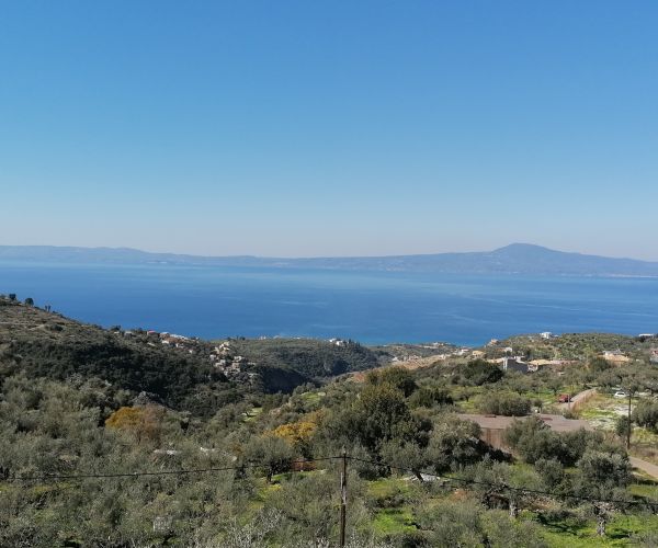 Image No.53-Maison de 3 chambres à vendre à Kardamyli