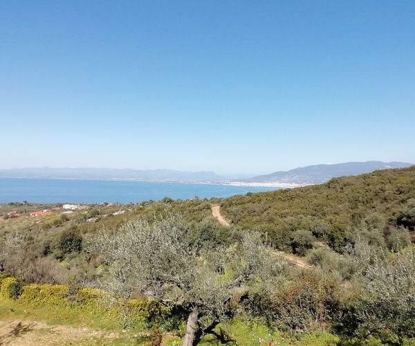 Image No.7-Maison de 3 chambres à vendre à Kardamyli