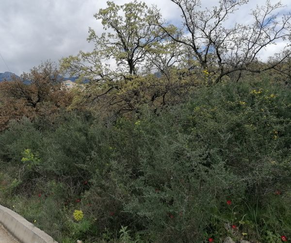 Image No.7-Plot for sale