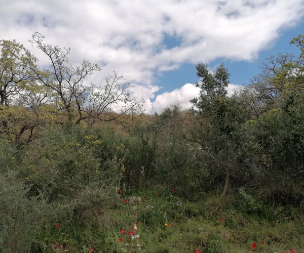 Image No.9-Plot for sale