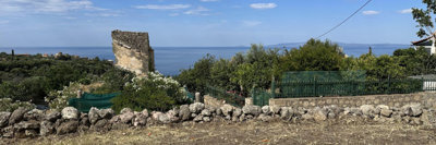 photo-31-5-25-10-14-23-am-min