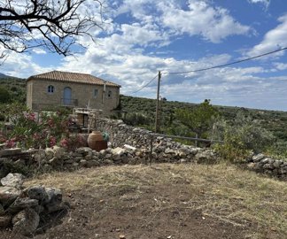 photo-31-5-25-10-14-13-am-min