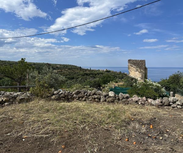 Image No.5-Terrain à vendre à Kardamyli