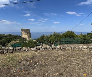 photo-31-5-25-10-14-23-am-min