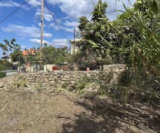 photo-31-5-25-10-14-44-am-min