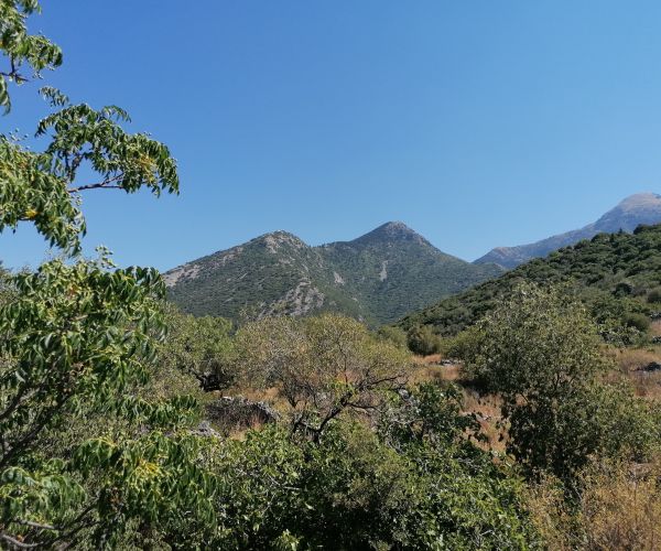 Image No.39-2 Bed House for sale