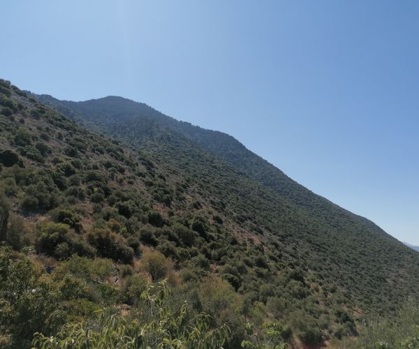 Image No.40-2 Bed House for sale