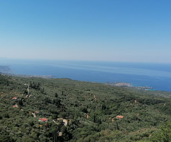 Image No.41-2 Bed House for sale