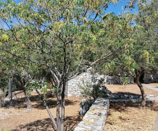 Image No.59-2 Bed House for sale