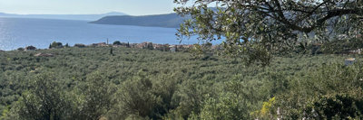 photo-20-3-25-4-25-19-pm-min