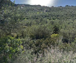 photo-20-3-25-4-24-50-pm-min