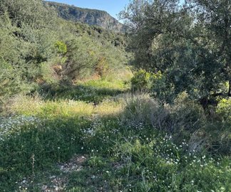 photo-20-3-25-4-24-43-pm-min