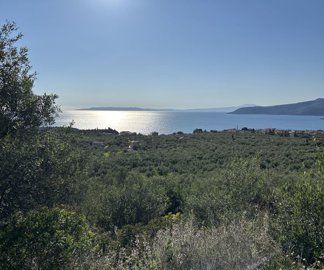 photo-20-3-25-4-24-39-pm-min