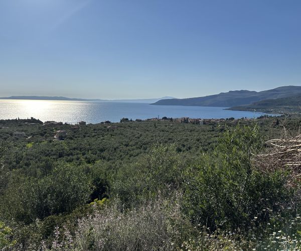 Image No.14-Terrain à vendre à Kardamyli