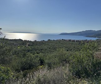 photo-20-3-25-4-24-38-pm-1-min