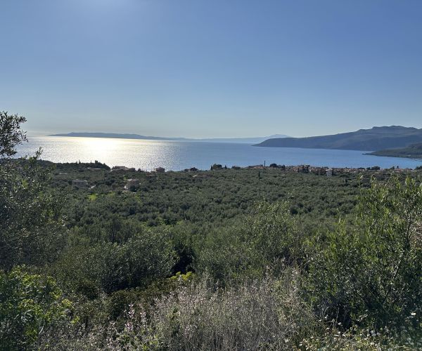 Image No.16-Terrain à vendre à Kardamyli