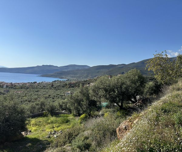 Image No.19-Terrain à vendre à Kardamyli