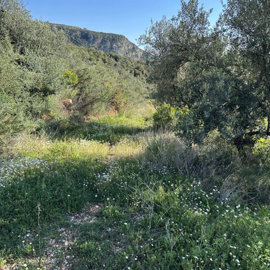 photo-20-3-25-4-24-43-pm-min