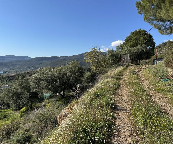 Image No.20-Terrain à vendre à Kardamyli