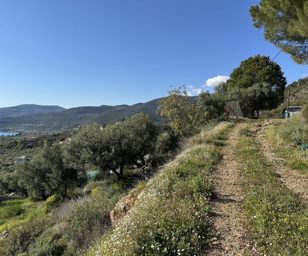 Image No.22-Terrain à vendre à Kardamyli