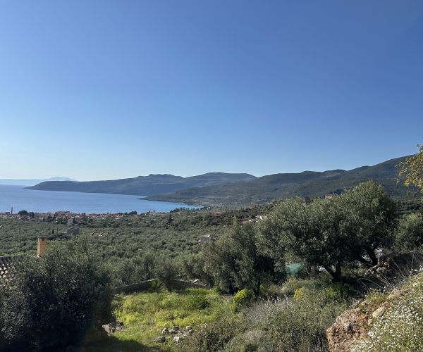 Image No.23-Terrain à vendre à Kardamyli