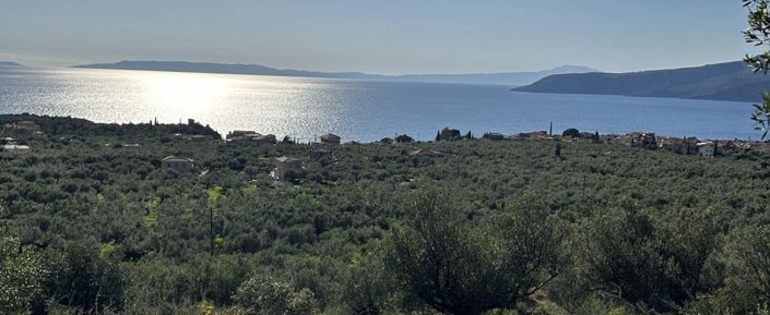 Image No.3-Terrain à vendre à Kardamyli