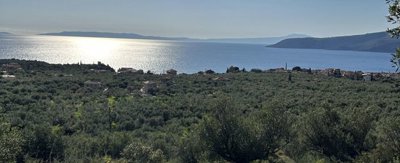 photo-20-3-25-4-25-20-pm-min