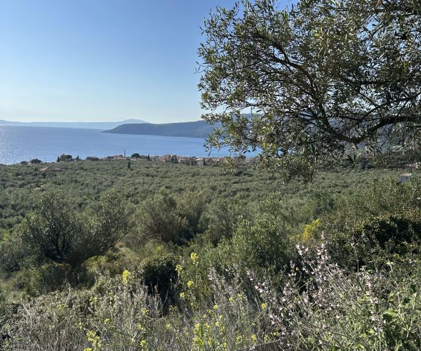 Image No.4-Terrain à vendre à Kardamyli