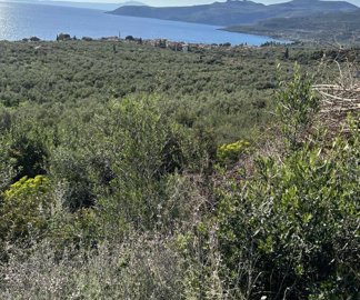 photo-20-3-25-4-24-56-pm-min