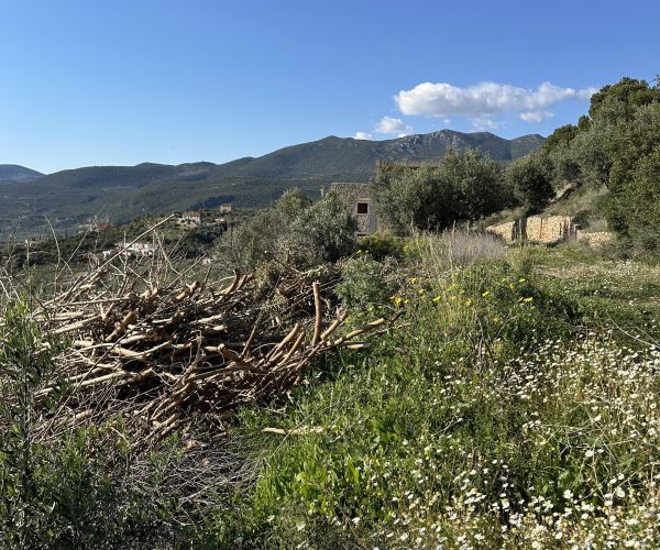 Image No.8-Terrain à vendre à Kardamyli