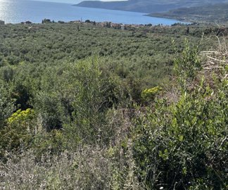 photo-20-3-25-4-24-51-pm-min