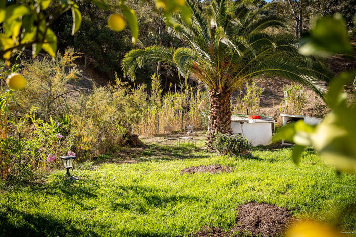 Image No.28-Finca de 3 chambres à vendre à Casares