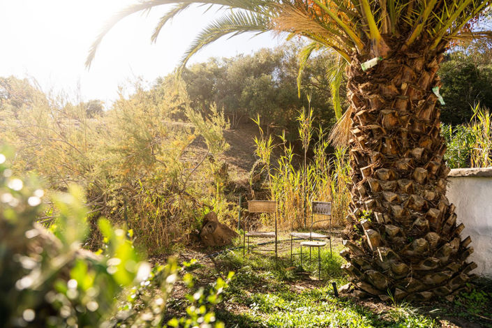 Image No.30-Finca de 3 chambres à vendre à Casares