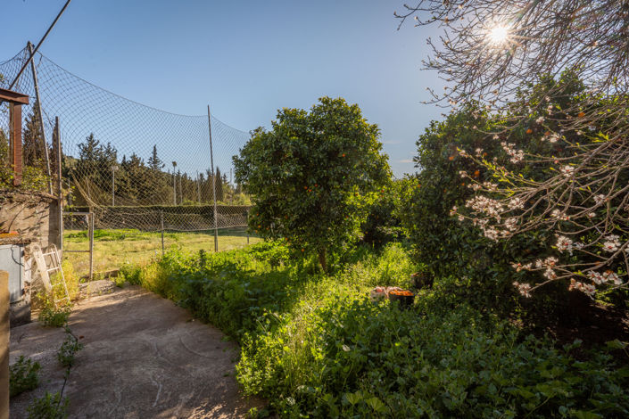 Image No.39-Finca de 5 chambres à vendre à Jimena de la Frontera