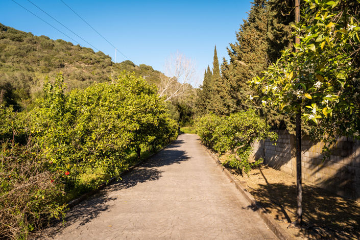 Image No.45-Finca de 5 chambres à vendre à Jimena de la Frontera