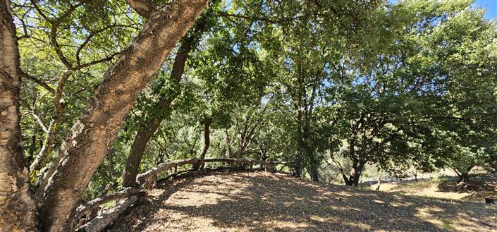 Image No.10-Plot for sale